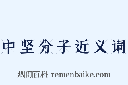 中坚分子近义词是什么意思的图片